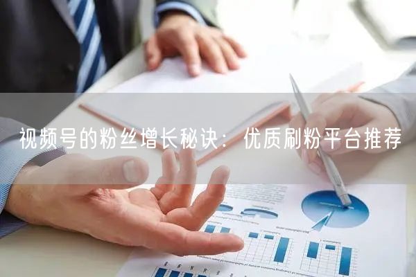视频号的粉丝增长秘诀：优质刷粉平台推荐