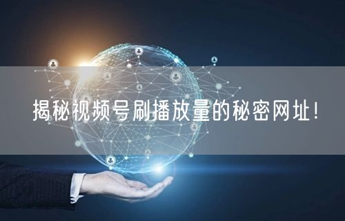 揭秘视频号刷播放量的秘密网址！