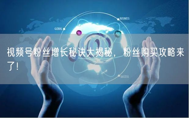 视频号粉丝增长秘诀大揭秘,粉丝购买攻略来了!