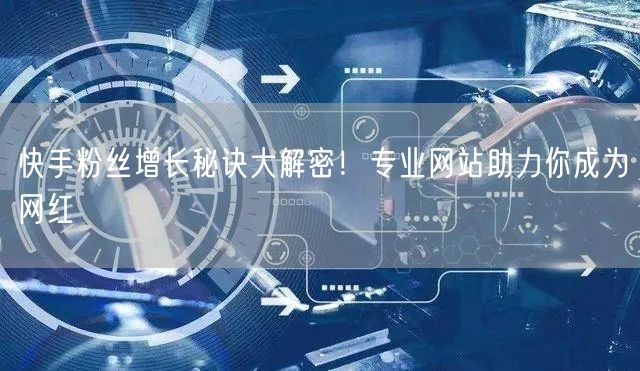快手粉丝增长秘诀大解密!专业网站助力你成为网红