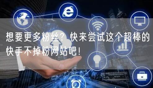 想要更多粉丝?快来尝试这个超棒的快手不掉粉网站吧!