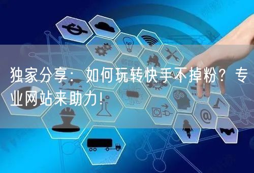 独家分享:如何玩转快手不掉粉?专业网站来助力!