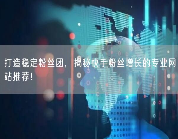 打造稳定粉丝团,揭秘快手粉丝增长的专业网站推荐!