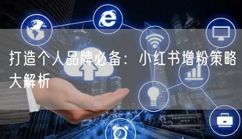 打造个人品牌必备:小红书增粉策略大解析