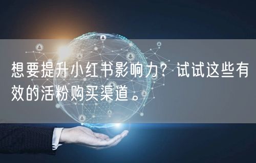 想要提升小红书影响力?试试这些有效的活粉购买渠道。