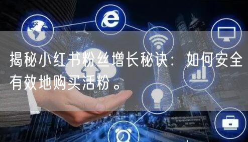 揭秘小红书粉丝增长秘诀:如何安全有效地购买活粉。