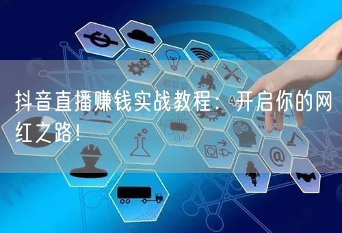 抖音直播赚钱实战教程:开启你的网红之路!