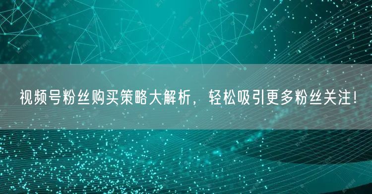 视频号粉丝购买策略大解析，轻松吸引更多粉丝关注！