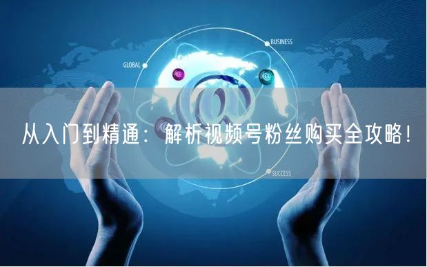 从入门到精通：解析视频号粉丝购买全攻略！