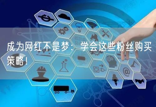 成为网红不是梦：学会这些粉丝购买策略！