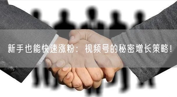 新手也能快速涨粉:视频号的秘密增长策略!